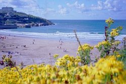 Accommodation in Boscastle